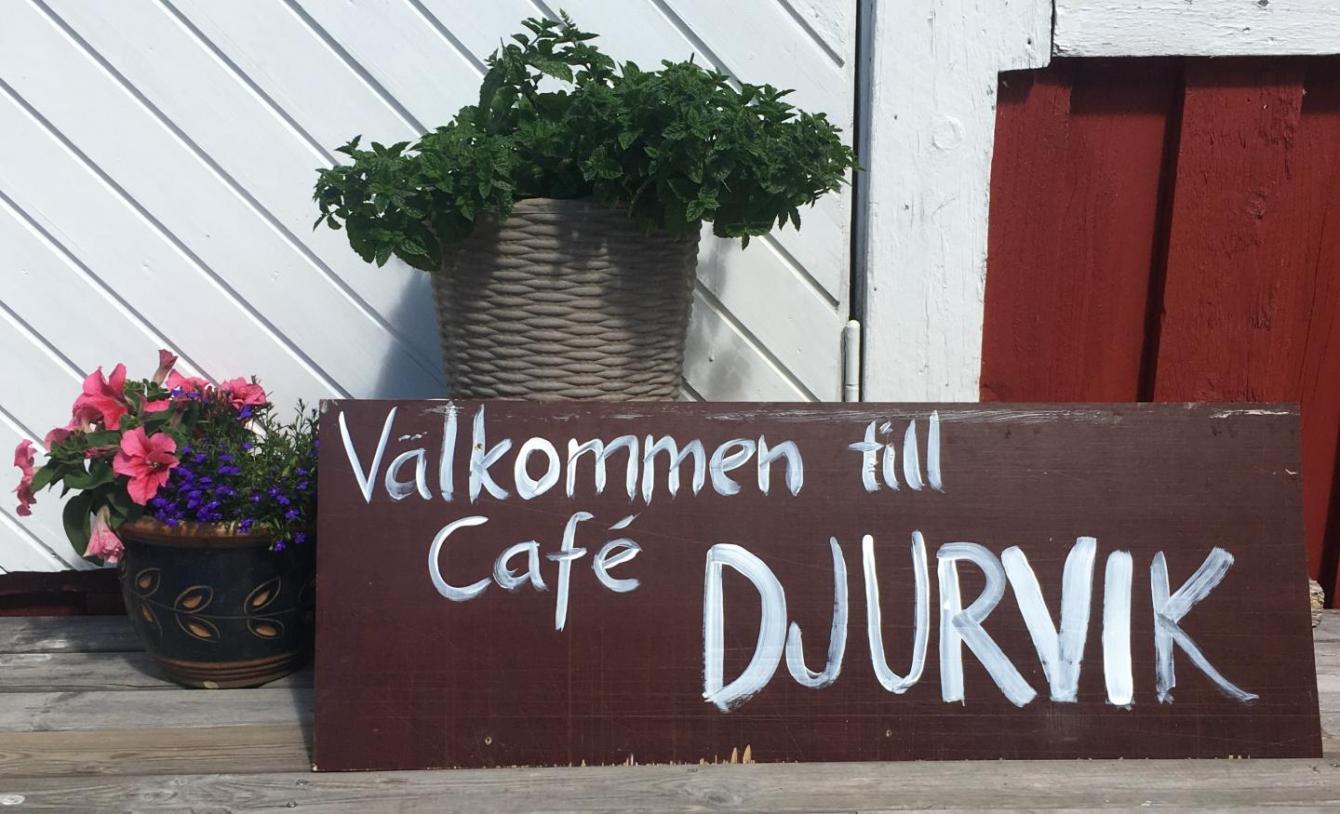 Välkommen till café djurvik