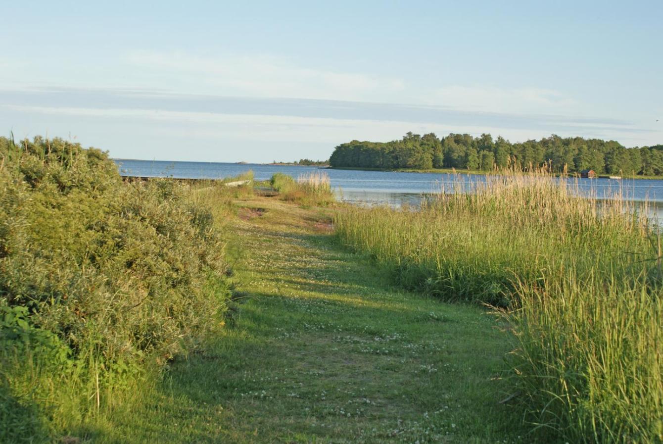 Stigen till bryggan